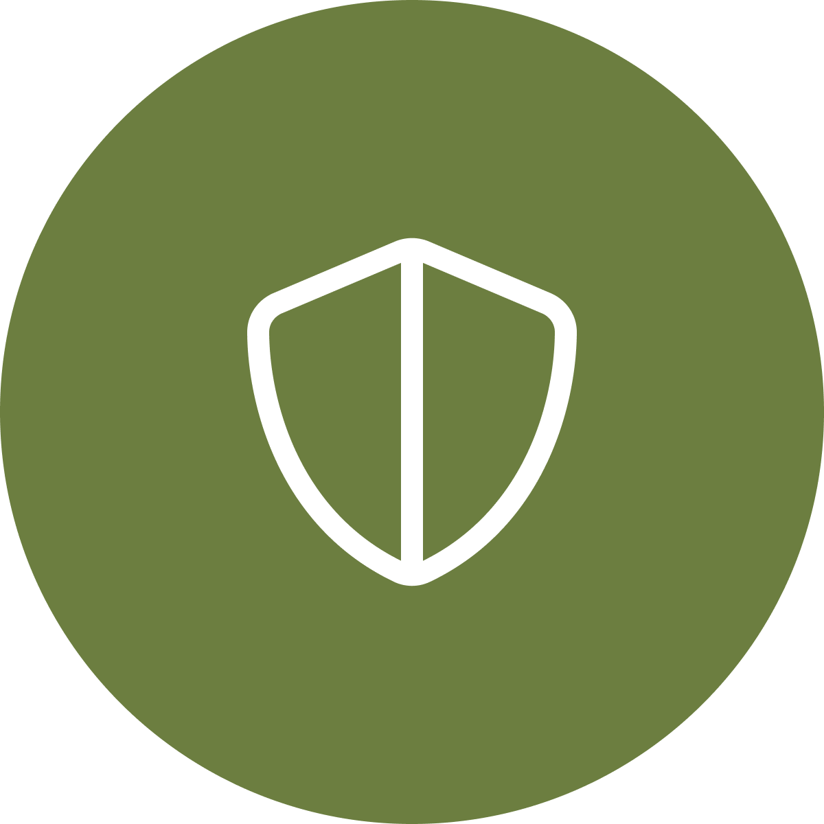Shield icon